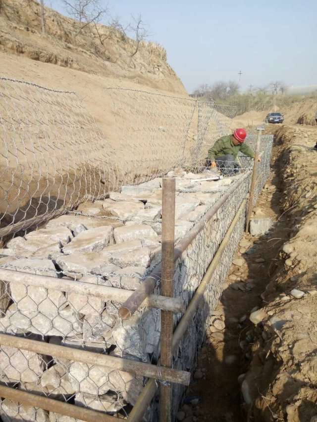 僸ߠ������e�W(w��ng)��(y��u)��