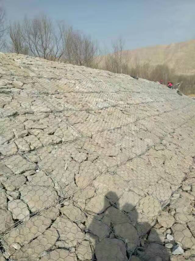 ��\ʯ�\���e�W(w��ng)�|