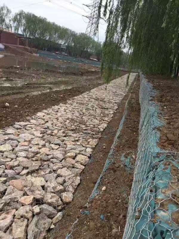 ����ʡ�����г����������ׅ^(q��)��ˮ����ʧ���ι���