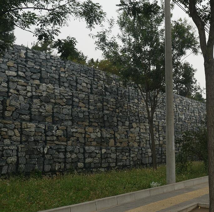 ���B(t��i)ʯ�\�W(w��ng)����