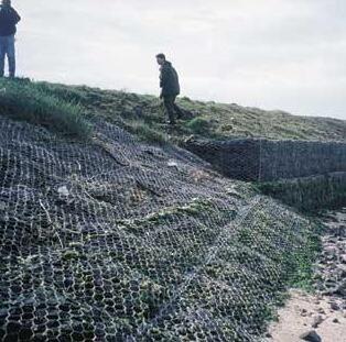 ��W(w��ng)ʯ�\�o(h��)��