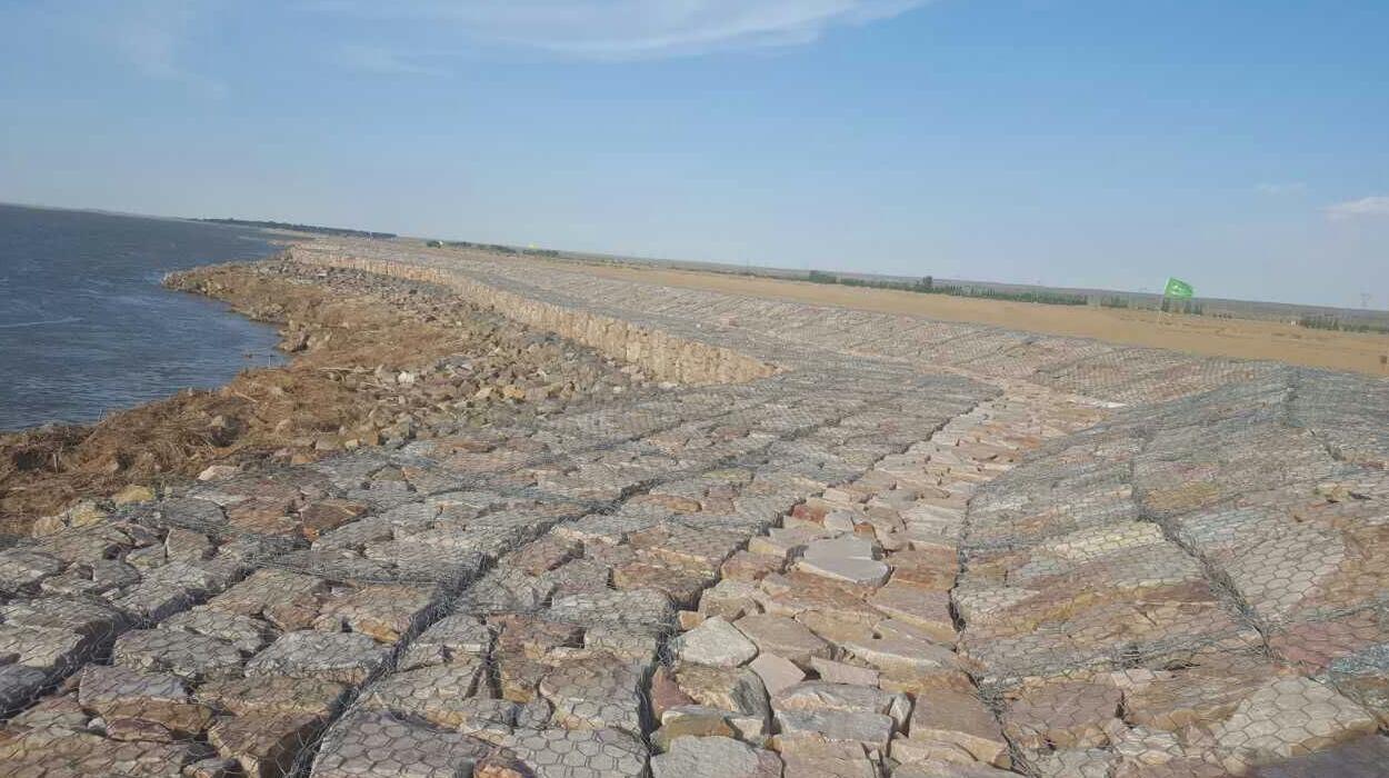 ���Z�o(h��)�|15531868633