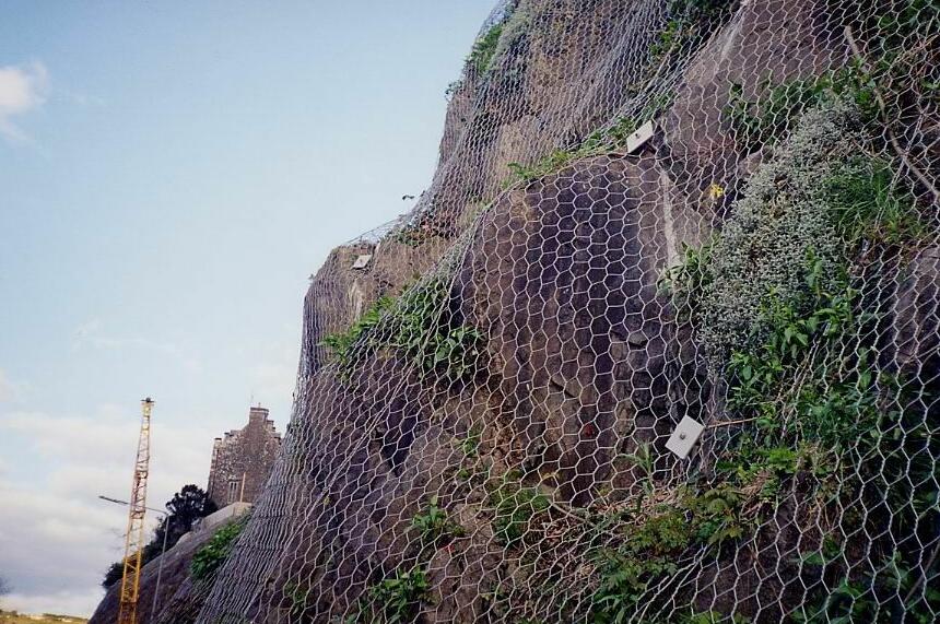 ߅�·��o(h��)�W(w��ng)Ҏ(gu��)��