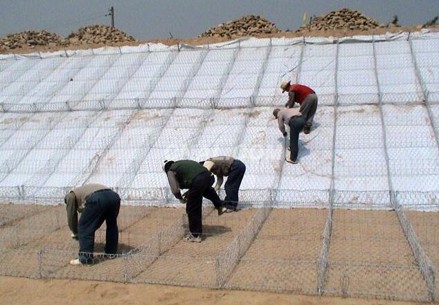 ���e�W(w��ng)�|��(y��u)��