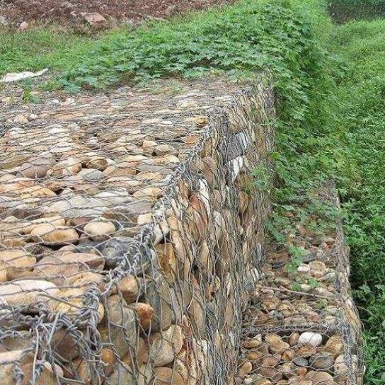 �������Z�o(h��)�|-1