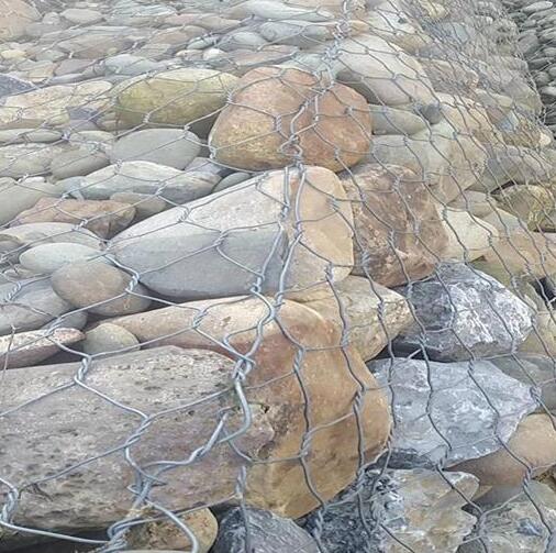 僸ߠ�����߅���p�g��䓽z�W(w��ng)