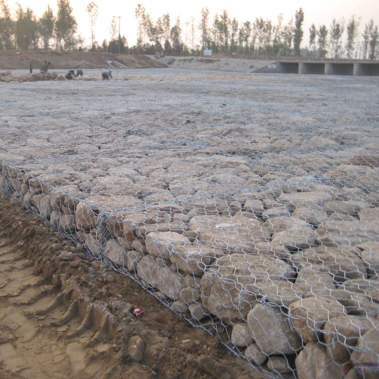 ���eʯ�\�o(h��)��