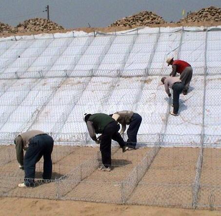 ��\���B(t��i)�o�¸��e�W(w��ng)