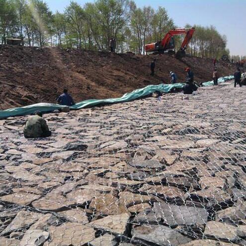 ʯ�\�W(w��ng)���e�W(w��ng)��r