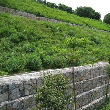 �e��ʯ�\�W(w��ng)��S��