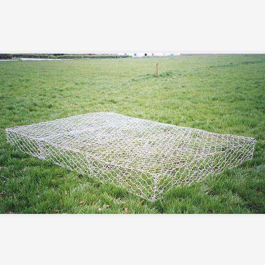 ���B(t��i)�W(w��ng)��W(w��ng)�|15531868633