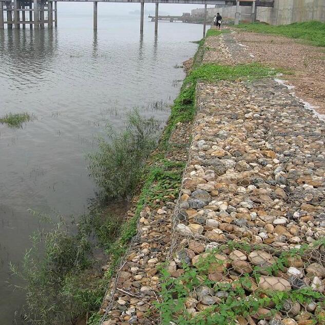 ʯ�\�F�z�W(w��ng)15531868633