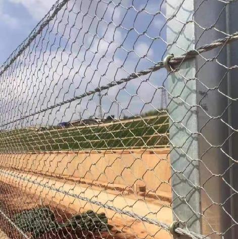 䓽z�Kʯ�\���o(h��)15531868633