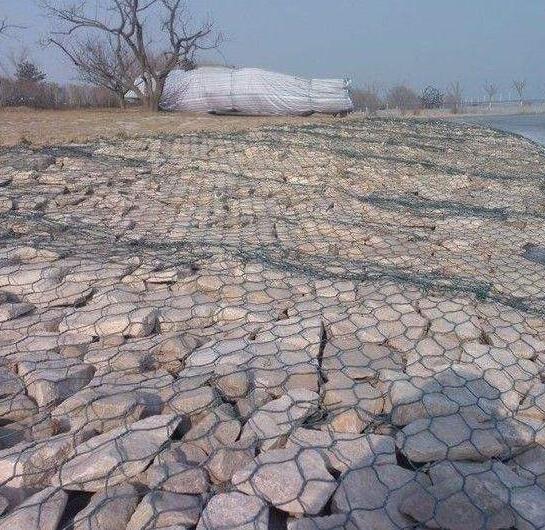 ���e�\�o(h��)��15531868633