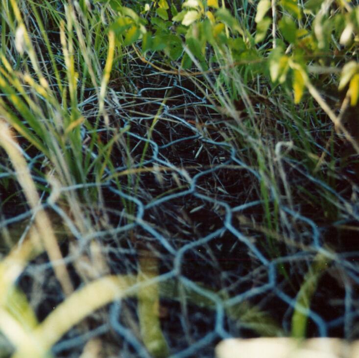 ���e�\�o(h��)��15531868633