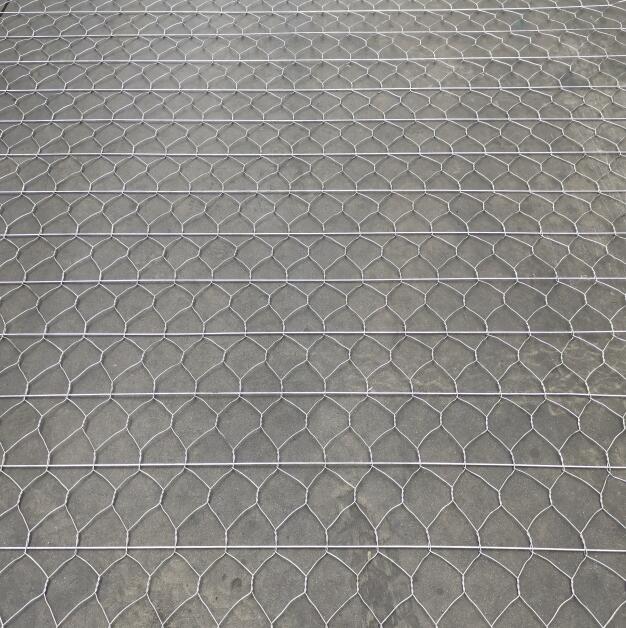 ·��ӽ�W15531868633