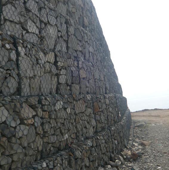 ���e�W(w��ng)���o(h��)��