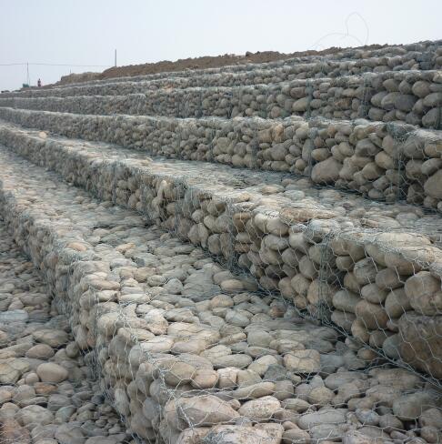 ���B(t��i)��W(w��ng)�̞I�\