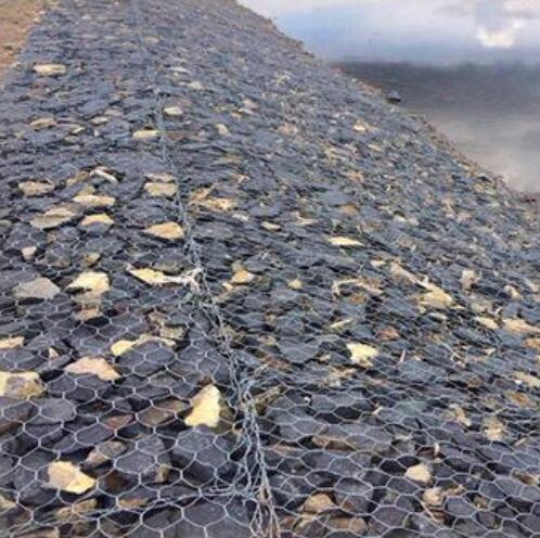 �½����e�W(w��ng)��S��